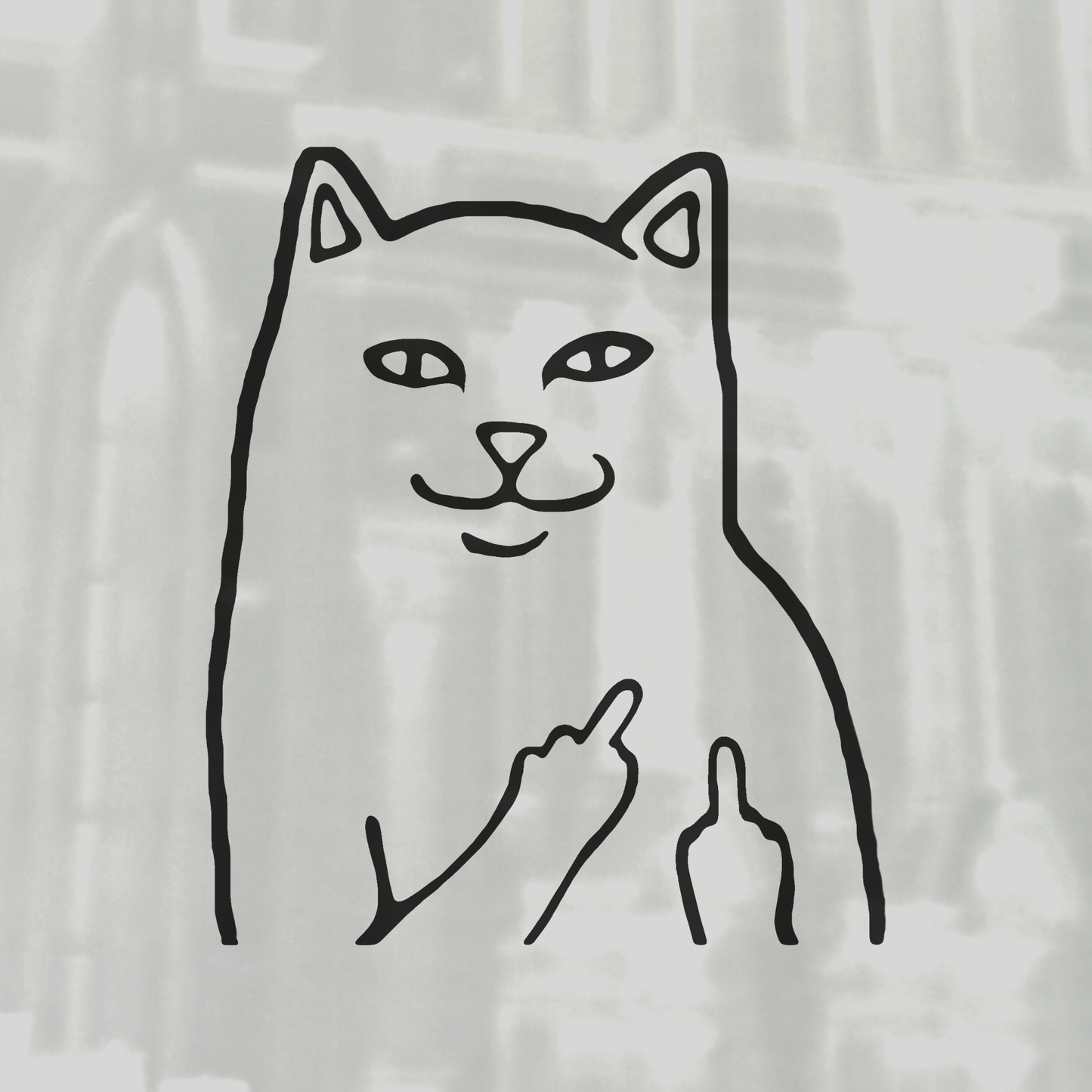 Cat middle finger